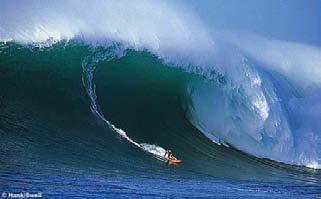 Photo shows 10" wave Hawaii scale.