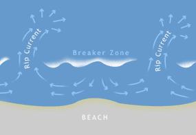 Neck Strongest current Head Current disperses beyond the breaker line Longshore Current or