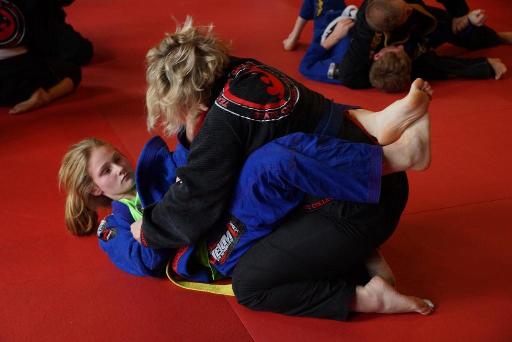 GRAPPLING CURRICULUM Sweeps Scissor Sit Up Knee Push Submissions from Guard: Arm Bar Triangle Omoplata Passes: One Knee Over One Knee Over, Other Knee Over Double Under Submissions from Mount