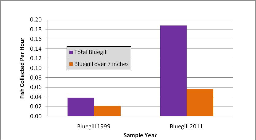 Figure 2 compares catch rates between the two survey years. The catch rate for bluegill over 7 inches was 0.19 fish per hour (State guideline is.51 fish per hour).
