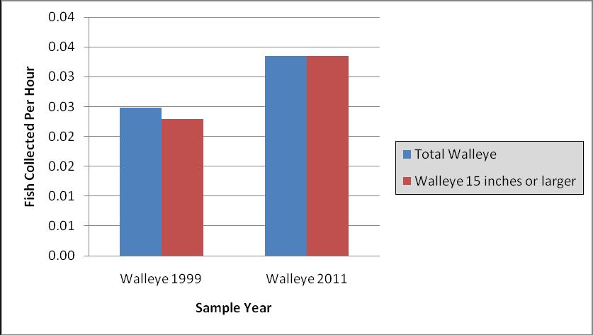 Figure 5. Rock Bass Collected in Trap Nets and Gill Nets at Quemahoning Reservoir. Figure 6 compares catch efforts for walleye in Quemahoning Reservoir.