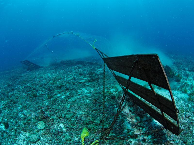 Habitat Destruction Most areas of the world's oceans are experiencing habitat loss Destructive fishing techniques