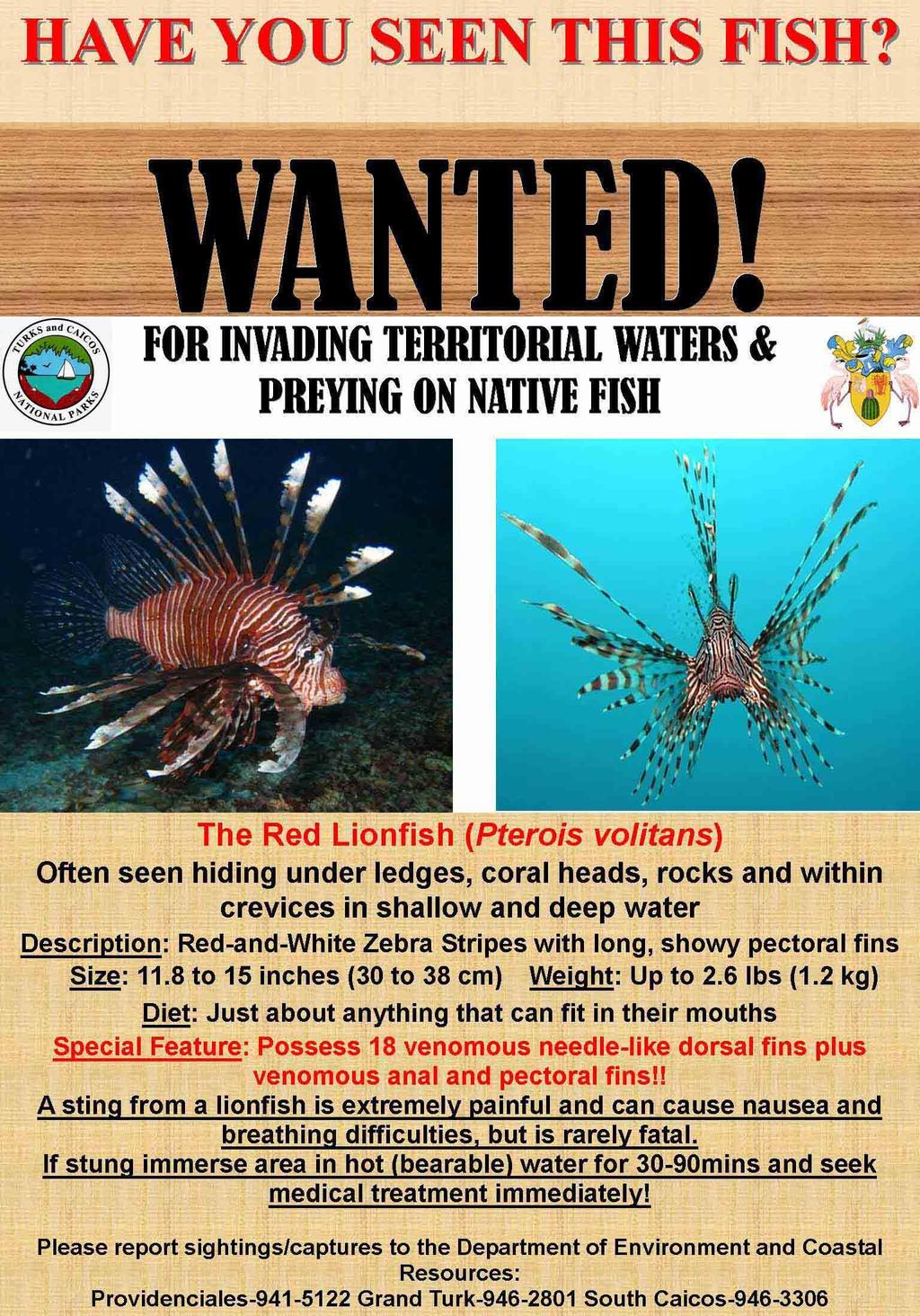 Invasive Species these species thrive in their new habitat, usually due to lack of natural predators to control their population do damage mainly by consuming native species, competing with