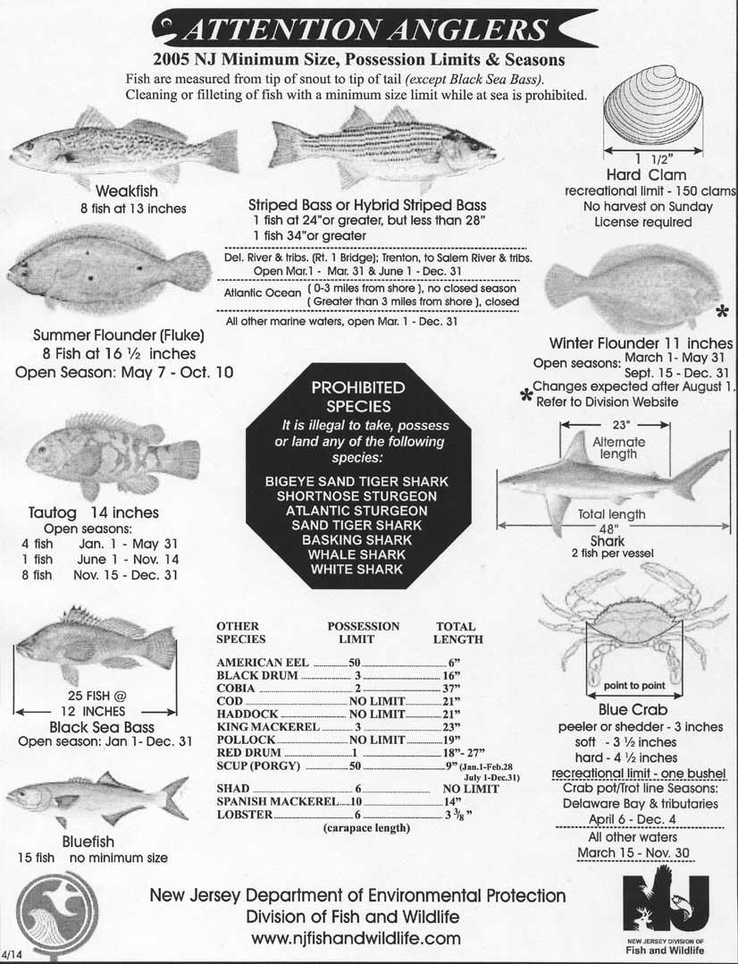 Fishing Limits Laws can help protect individual fish species.