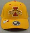 Hats ONLY AVAILABLE FOR COLLEGE TEAMS LISTED ON PREVIOUS PAGE.