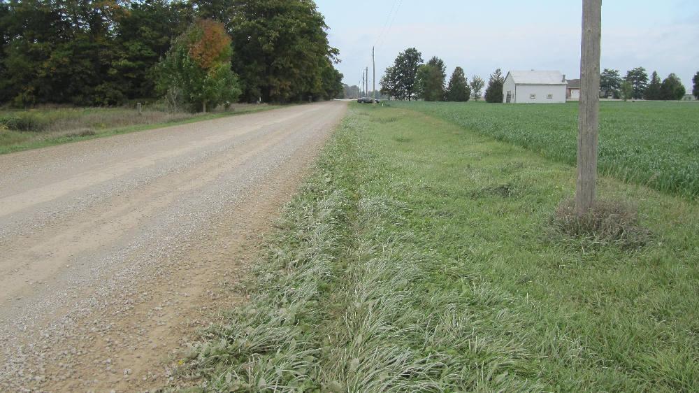Figure 18: View, looking west, at a set of tire marks on the north roadside. Investigators may have interpreted that these were some of the marks created by the bus during its loss-of-control.