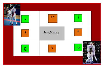 Figure 1 illustrates the play areas on the rug for playerscompetition actual fighting "kumite"