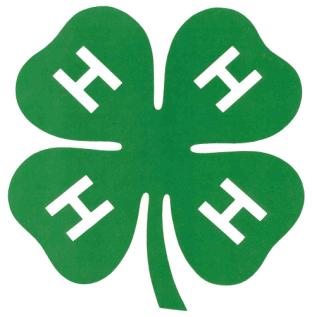 4-H T-Shirt Design Contest Return to Scotland County Cooperative Extension office by