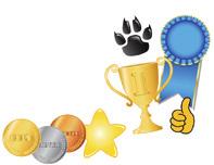 Rewards & Recognition Behavior Award Certificate Template (Powerpoint/Easy to Edit) Includes Extra Clip