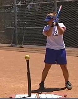 Player takes normal stance beside a tee that is set up in front of a net. 1.