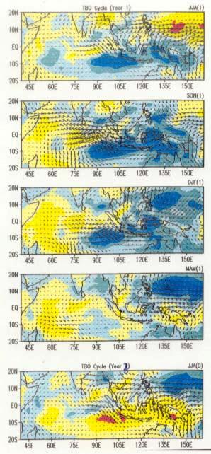 3. Seasonally evolving TBO pattern and its origin Seasonal-sequence EOF analysis using NCAR/NCEP reanalysis data (1950-1999) Shading: rainfall Vector: 925mb wind