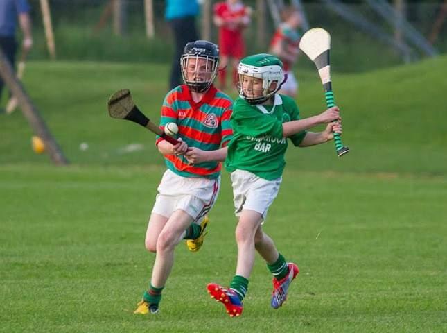 The Intermediate Hurlers contested the County final at Mallow on September 27th against Charleville.