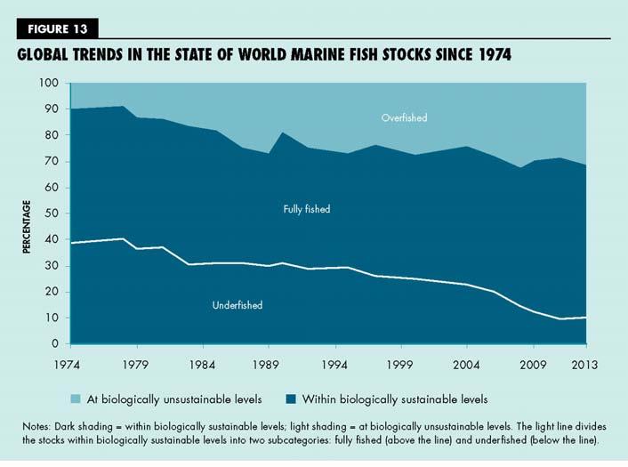 State of global marine