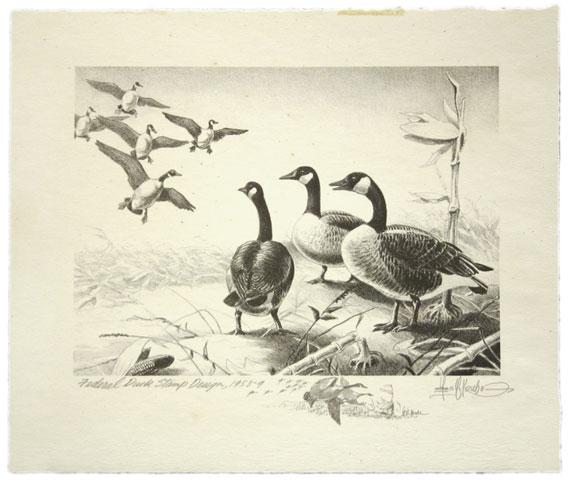 5020 5020 Canada Geese. Etching, first edition signed Les C.