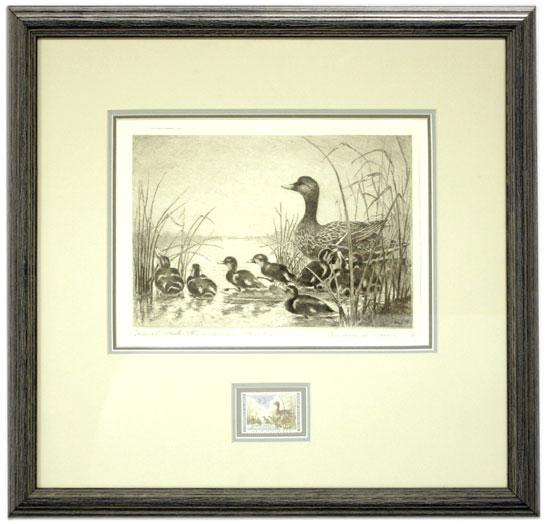 5024 5024 Mallard Hen and Ducklings. Etching, first edition signed Edward A.