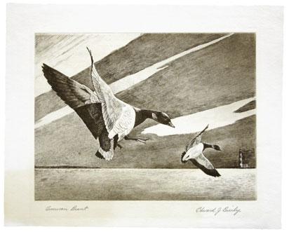 5026 5027 5026 American Brant. Etching, first edition signed Edward J.