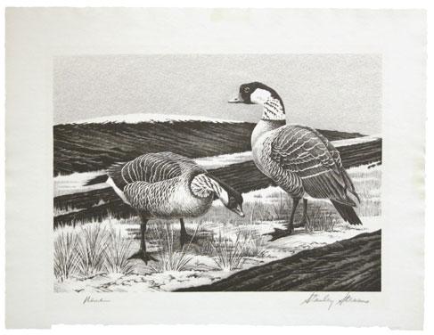 bottom right, desirable example of the print for the $3.00 1963 Hunting Permit (RW30)... E. 300-400 5028 5029 5028 Hawaiian Nene Geese.