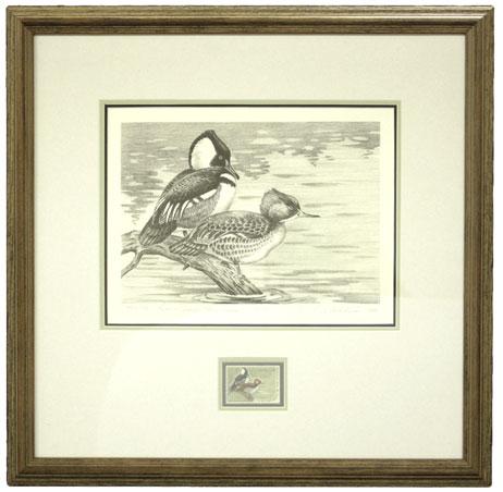 Kouba in pencil at bottom right and Federal Duck Stamp Design, 1967-68 in pencil at bottom left, image size 170 x 230mm, additional pencil remarque at bottom which is also signed by the artist,