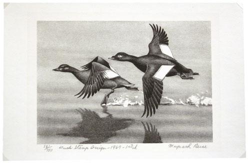 Etching, first edition signed C. G. Pritchard 1968 in pencil with 400/750 Federal Duck Stamp Design 1968-69 in pencil at bottom left, image area 235 x 165mm, framed and matted with issued stamp $3.