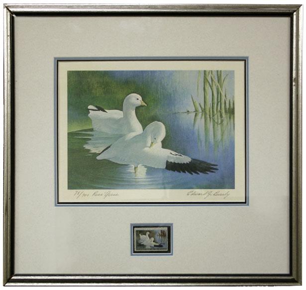 5034 5034 Ross Geese. Multicolored first edition print signed Edward J.