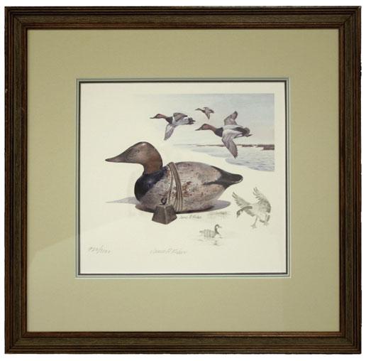 5040 5040 Canvasback Decoy. Multicolored first edition print signed James P.