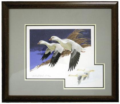 5042 5043 5042 Ross s Goose. Multicolored print signed Martin Murk and numbered AP 83/250, multicolored remarque at bottom right, attractively matted and framed, the design of the $5.