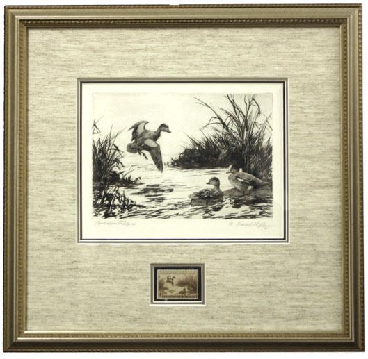 5008 5008 American Widgeon. Etching, first edition signed A.