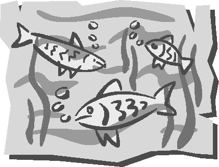 The Aquatic Habitat Each aquatic habitat has characteristics that determine the type of life that can live in it.