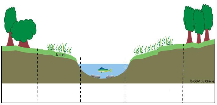 Abiotic factors are these non-living elements of the habitat. In an aquatic habitat, many life forms (animals and plants) that have basic needs to survive (food, shelter, etc.). All these inhabitants are interrelated and share the available resources.