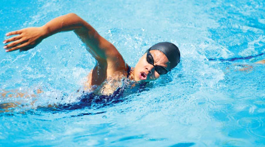 Piranha Master Swim Private Swim Lessons Open to all adults: fitness, triathlete, competitive and non-competitive!