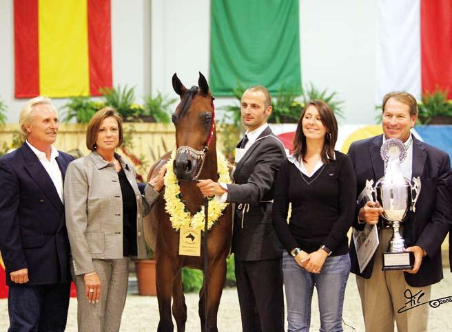 Abha Palma - All Nations Cup Reserve Champion Filly seen most all of the great ones and worked with fantastic owners, breeders, veterinarians, farriers, and many other people associated with the
