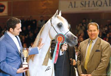 TA: What are the most important features of good manager in the Arabian horse world nowadays in your opinion?