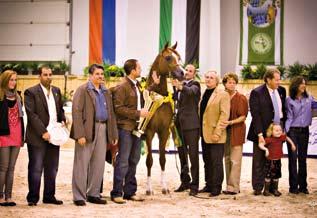 This year we will concentrate on using reigning World Champion and Triple Crown Winner, Abha Qatar.