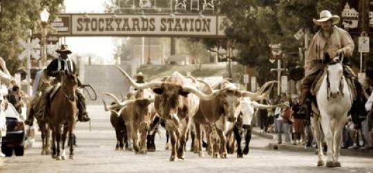 First long cattle drive: 1866,