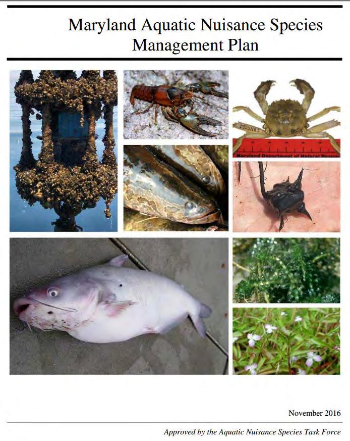 Aquatic Nuisance Species (ANS) Management Plan In November 2016, Maryland completed ANS Management Plan which allows the state to submit for funding requests from USFWS for ANS/AIS related activities