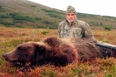 nice Grizzly on fall