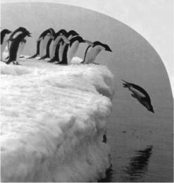 This passage is all about penguins. It tells about how penguins survive in the wild. Waddle, Dive, and Swim by Kathleen Weidner Zoehfeld 1 A flock of penguins waddles across the ice and snow.
