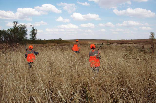 2015 Minnesota Hunting Regulations GIVE INVASIVE SPECIES THE