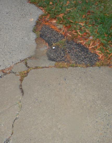 Such issues include signs that are damaged, sidewalk that is damaged or overgrown with