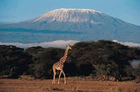 Mount Kenya is found in Kenya. It is 5199m high. It is also an old volcano.
