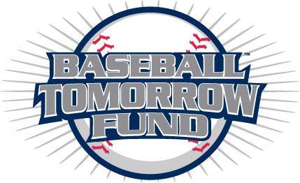 BASEBALL TOMORROW FUND GRANT APPLICATION HELP GUIDE FOR REFERENCE ONLY ALL EAMPLES ARE HYPOTHETICAL To increase participation in the baseball league by adding a 13-18 year old division.