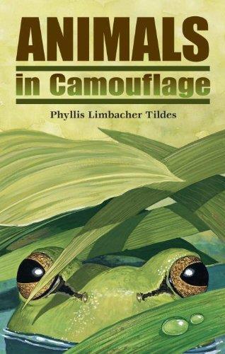 RAINFOREST HIDE AND SEEK Classroom Beginnings Novel Beginnings Title: Animals in Camouflage This book has incredible illustrations introducing animals in camouflage.