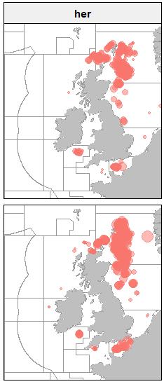 The majority of the fishery takes place in the Orkney-Shetland area and northern North Sea in the 2 nd and 3 rd