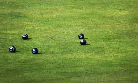 ! Bowlers Handles Our new Bowls Assist handles are