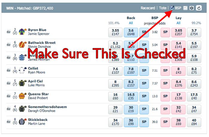 Placing Bets I recommend that you use Betfair to place your bets. Ideally you want to be placing your back bets mid- morning, around 11am and your lay bets just before the race goes off.