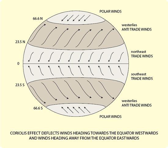 Below is a diagram showing the global wind patterns that
