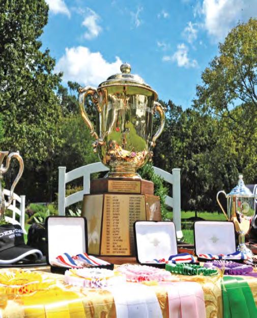 American Gold Cup The American Gold Cup is one of the most prestigious and iconic equestrian sporting events in the world of International Show Jumping.