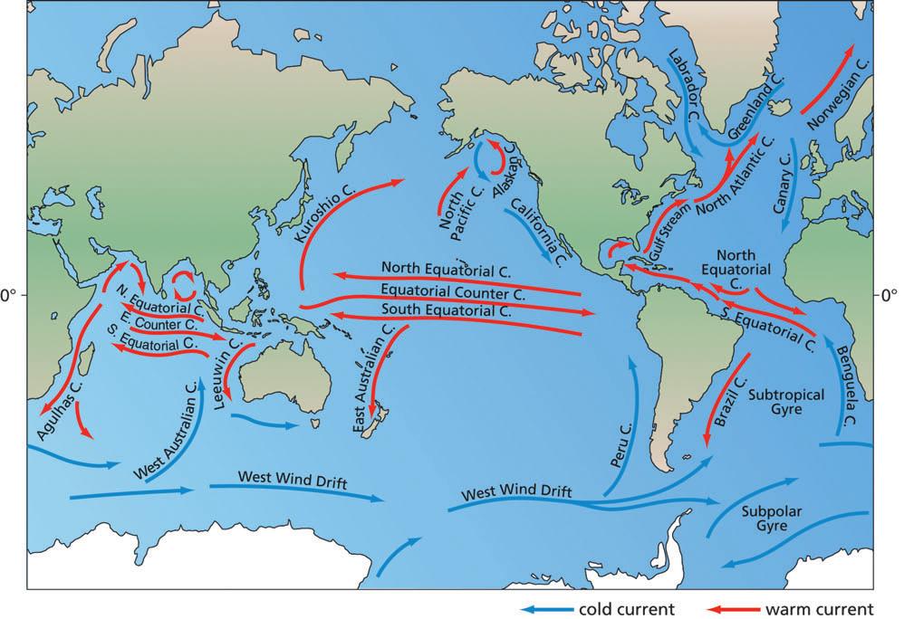Chapter 5 Winds, Oceans, Weather, and Climate Part B: Tracing Wind and Surface Ocean Currents 1. Look at the map of surface ocean circulation.