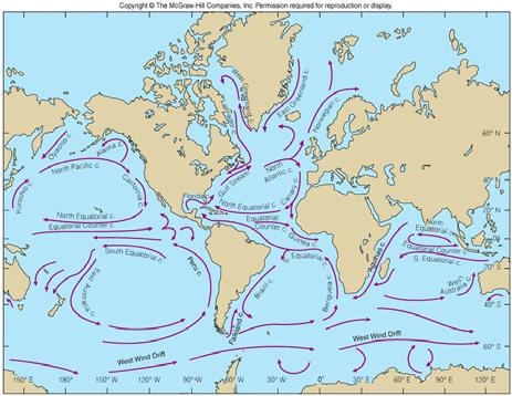 PART 3: General Surface Currents and their Patterns Effects of the Earth