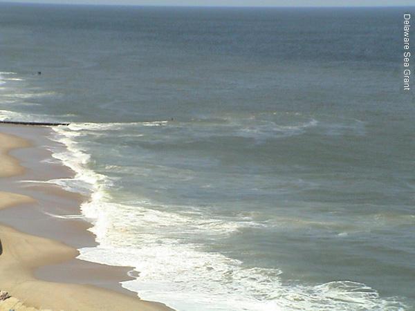 Visual Signs of a Rip Current: Foam or debris floating away from shore a break in the wave pattern A channel of churning,